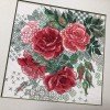 Riolis - Rosa mosqueta