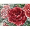 Riolis - Rosa mosqueta