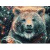 Riolis - The Great Bear