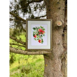 Riolis - Juicy Apples