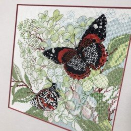 Riolis - The Joy of Summer 