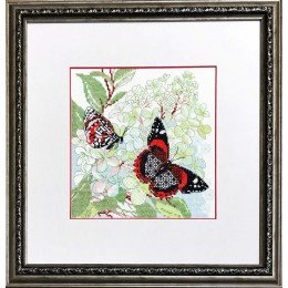 Riolis - The Joy of Summer 