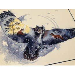 Riolis - In The Night Forest