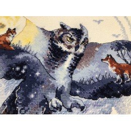 Riolis - In The Night Forest