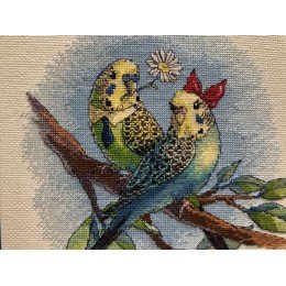 Riolis - Love is in the Air