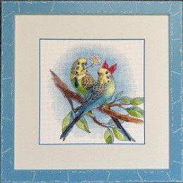 Riolis - Love is in the Air