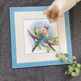 Riolis - Love is in the Air