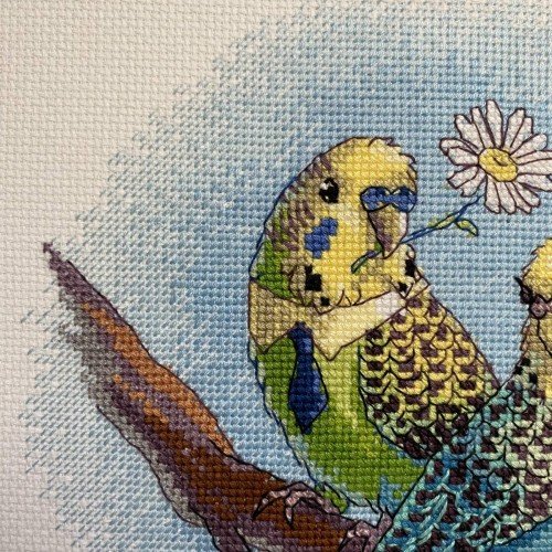 Riolis - Love is in the Air