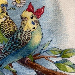 Riolis - Love is in the Air