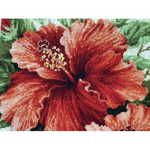 Riolis - Hibiscus 