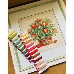 Riolis - Pimienta en una olla