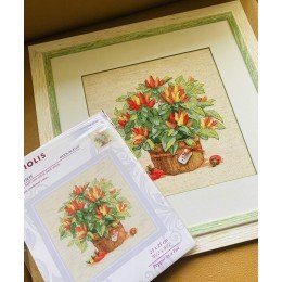 Riolis - Pimienta en una olla