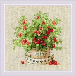 Riolis - Tomatoes in a Pot 
