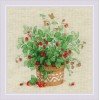 Riolis - Strawberries in a Pot