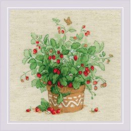 Riolis - Strawberries in a Pot