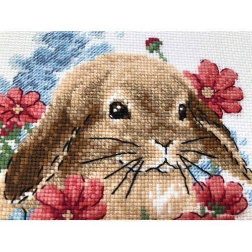 Riolis - Bunny in Flowers