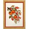 Riolis - Sunny Persimmon