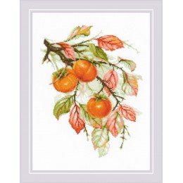 Riolis - Sunny Persimmon