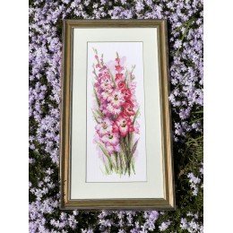 Riolis - Charming Gladioli 