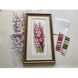 Riolis - Charming Gladioli 