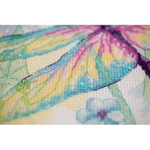Riolis - Rainbow Beauty