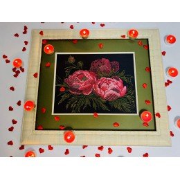 Riolis - Lace Peonies