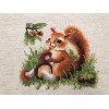 Riolis - Squirel