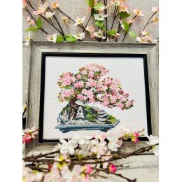 Riolis - Flowering Bonsai 