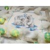 Riolis - Cachorros de oso sobre hielo