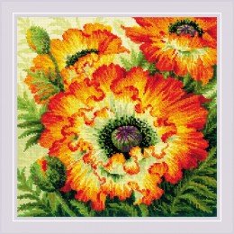 Riolis - Amapolas de fuego