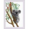 Riolis - Lindo Koala