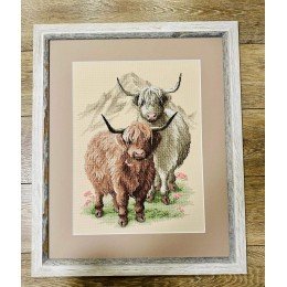 Riolis - Highland Buddies