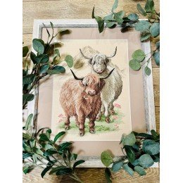 Riolis - Highland Buddies