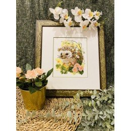 Riolis - Forest Dweller