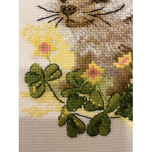 Riolis - Forest Dweller