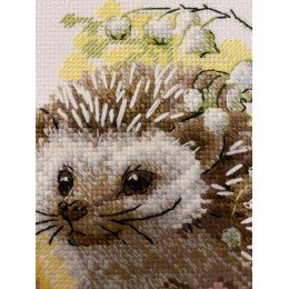 Riolis - Forest Dweller