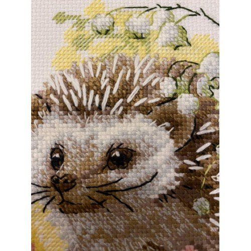 Riolis - Forest Dweller