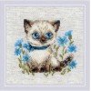 Riolis - Siamese Kitten
