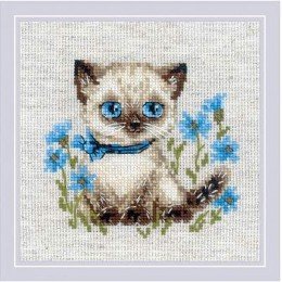 Riolis - Siamese Kitten