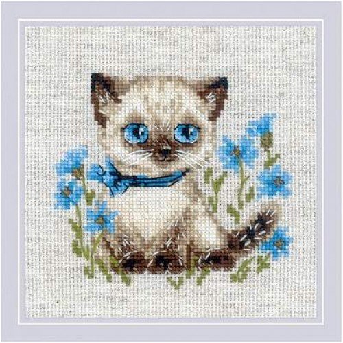 Riolis - Siamese Kitten