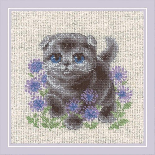 Riolis - Lop-eared Kitten