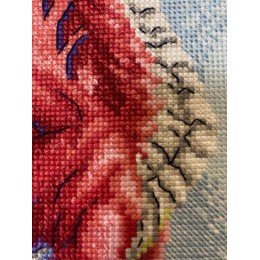 Riolis - Your Mighty Dragon