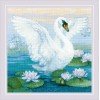 Riolis - White Swan