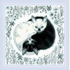 Riolis - Yin and Yang