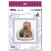 Riolis - Yorkshire Terrier