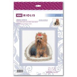 Riolis - Yorkshire Terrier