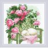 Riolis - Sweet Dreams
