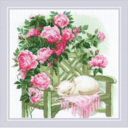 Riolis - Sweet Dreams