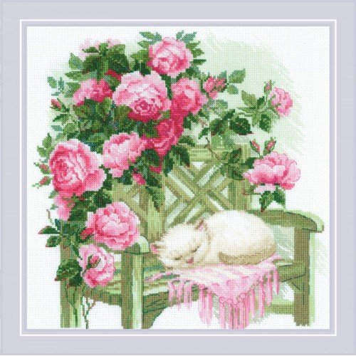 Riolis - Sweet Dreams