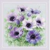 Riolis - Purple Anemones